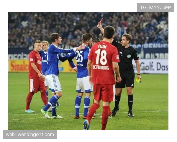 弗赖堡2比1击败圣保利 主场稳健表现延续不败势头 弗赖堡2比1击败圣保利 主场稳健表现延续不败势头